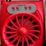 اسپیکر EVER مدل 724